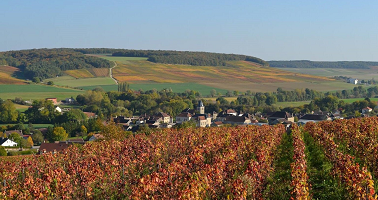 Weinindustrie Englischkurs Online Training